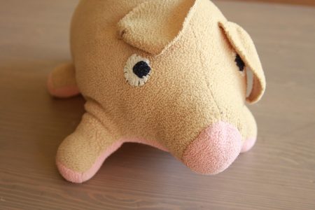 חזירי החדש לאחר הניתוח והרחצה