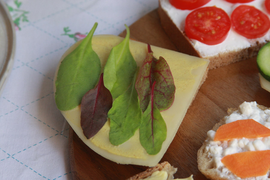 איך לגרום לילדים לאכול מגוון | מסיבת סנדוויצ׳ים | סנדוויץ׳ לבית ספר | גבינה צהובה ורוקט